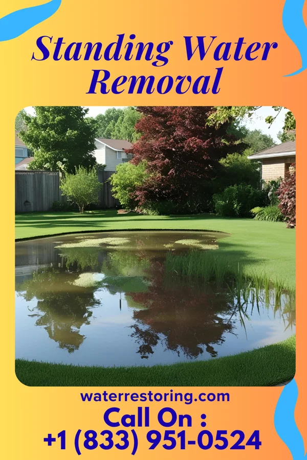 Standing Water Removal in Leando, IA